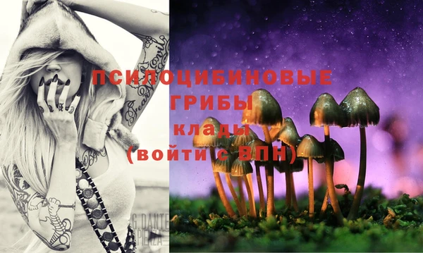 spice Абинск