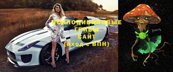 spice Абинск