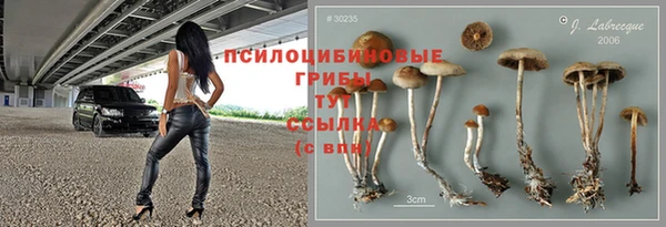 spice Абинск