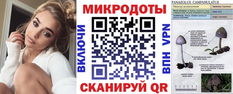 Псилоцибиновые грибы Psilocybe  hydra   Агрыз  хочу  